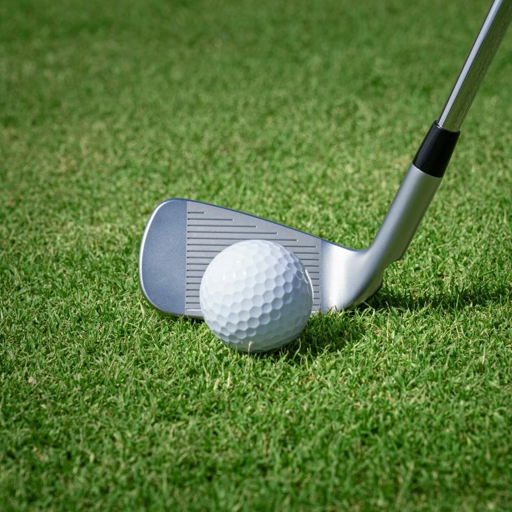 Ping ChipR - Image 5