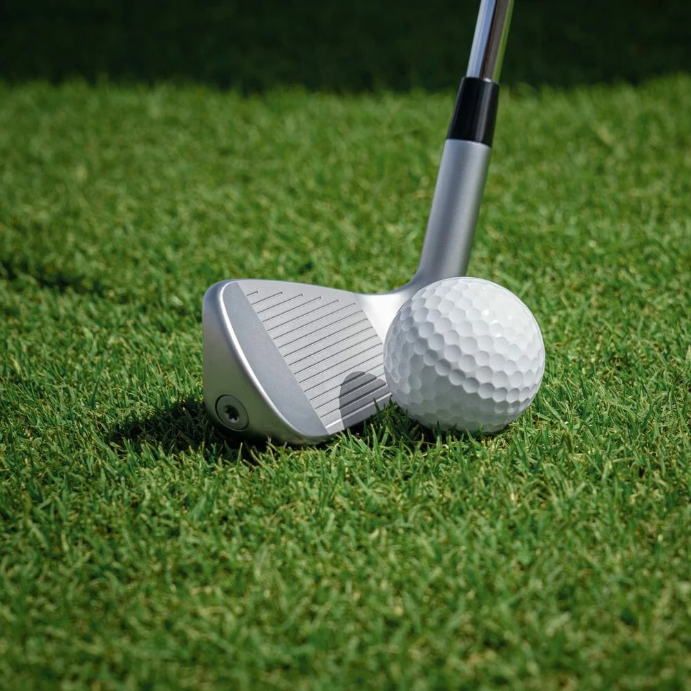 Ping ChipR - Image 4